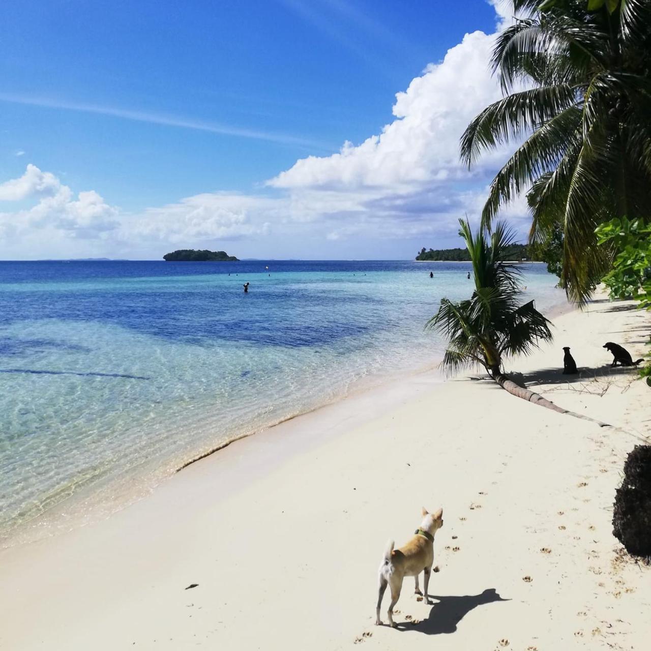 Ferra Resort Siargao (Adults Only) General Luna  Esterno foto